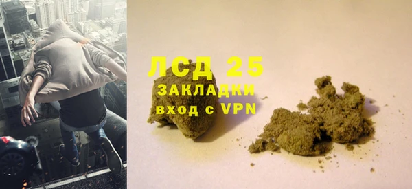 стаф Алексин