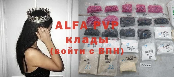 стаф Алексин