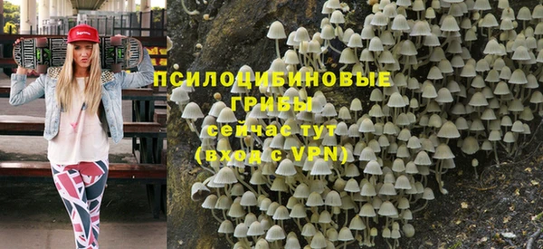 эйфоретик Алзамай