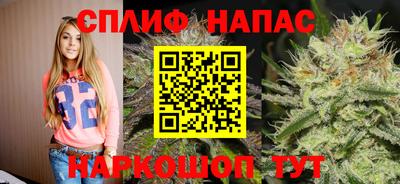 Альфа ПВП Беслан