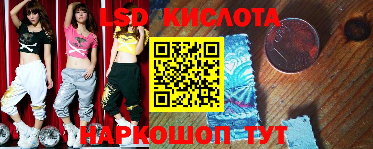 Галлюциногенные грибы Владивосток