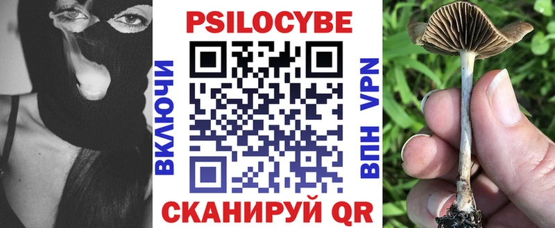 Псилоцибиновые грибы Psilocybe  Владивосток 
