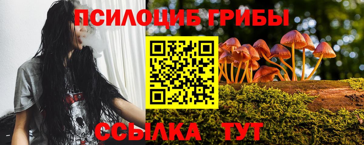 Галлюциногенные грибы Psilocybe Владивосток